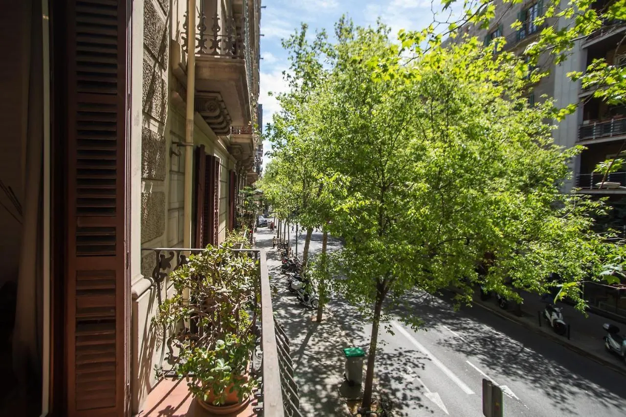 P2Ari1046 - Magnific 2Bed Apartment In The City Center Barcelona